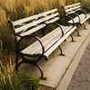 November 21, 2008 – Benching
