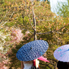 May 10, 2009 – Strolling