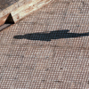 October 27, 2008 – Shadowing