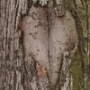 April 17, 2009 – Loving