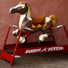 February 15, 2009 – Horsing