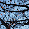 November 28, 2008 – Beaming