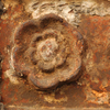 December 7, 2008 – Rusting