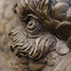 February 9, 2009 – Eyeing