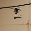 January 5, 2009 – Hanging