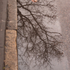 December 30, 2008 – Reflecting