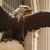 January 14, 2009 – Hovering