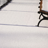 January 19, 2009 – Dusting