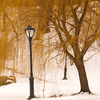 March 3, 2009 – Shivering