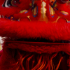 January 31, 2009 – Dragoning