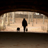 January 2, 2009 – Walking