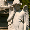 October 13, 2008 – Contemplating