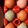 July 12, 2009 – Bocce / Pétanque – ing